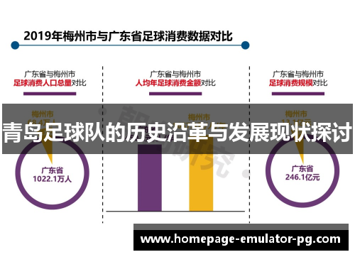 青岛足球队的历史沿革与发展现状探讨