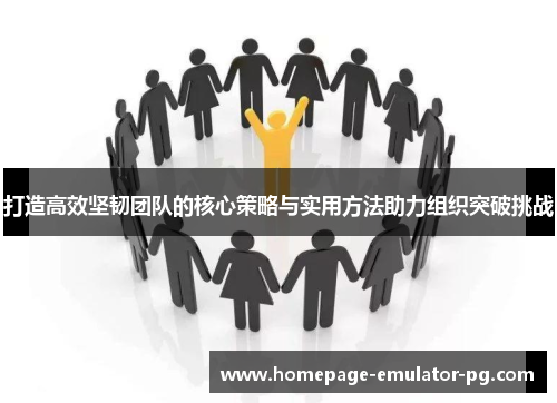 打造高效坚韧团队的核心策略与实用方法助力组织突破挑战