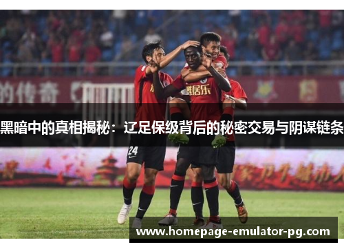 黑暗中的真相揭秘：辽足保级背后的秘密交易与阴谋链条