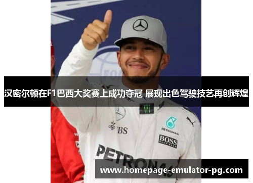 汉密尔顿在F1巴西大奖赛上成功夺冠 展现出色驾驶技艺再创辉煌