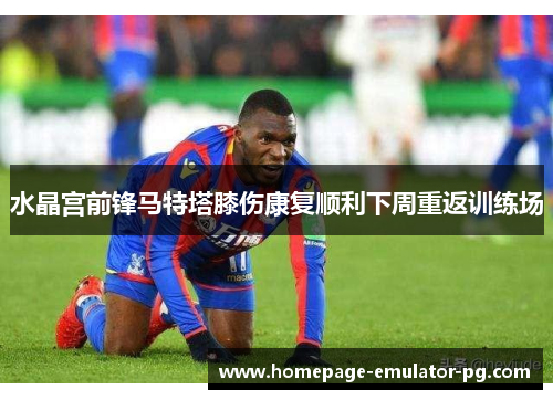 水晶宫前锋马特塔膝伤康复顺利下周重返训练场